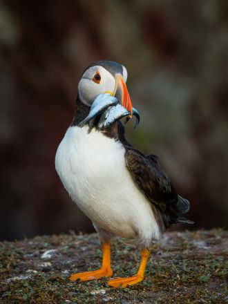 Founded by conservationists